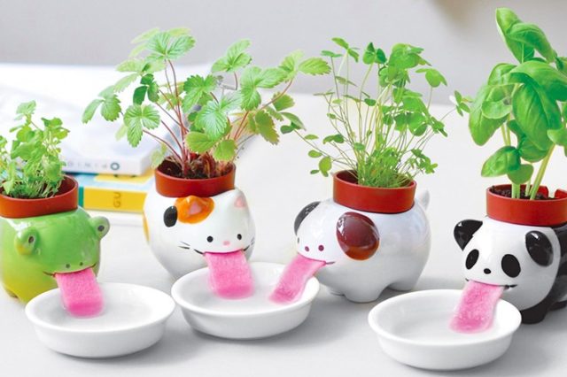 Animal Planters