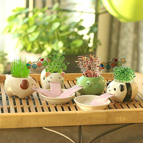 Animal Planters 5