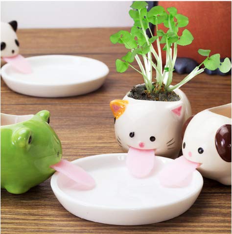 Animal Planters