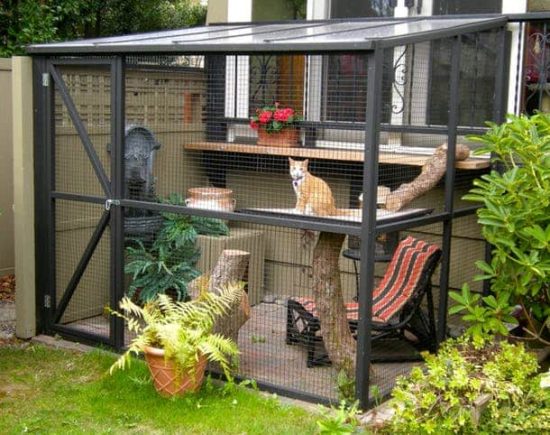 Big Screened Cat Porch