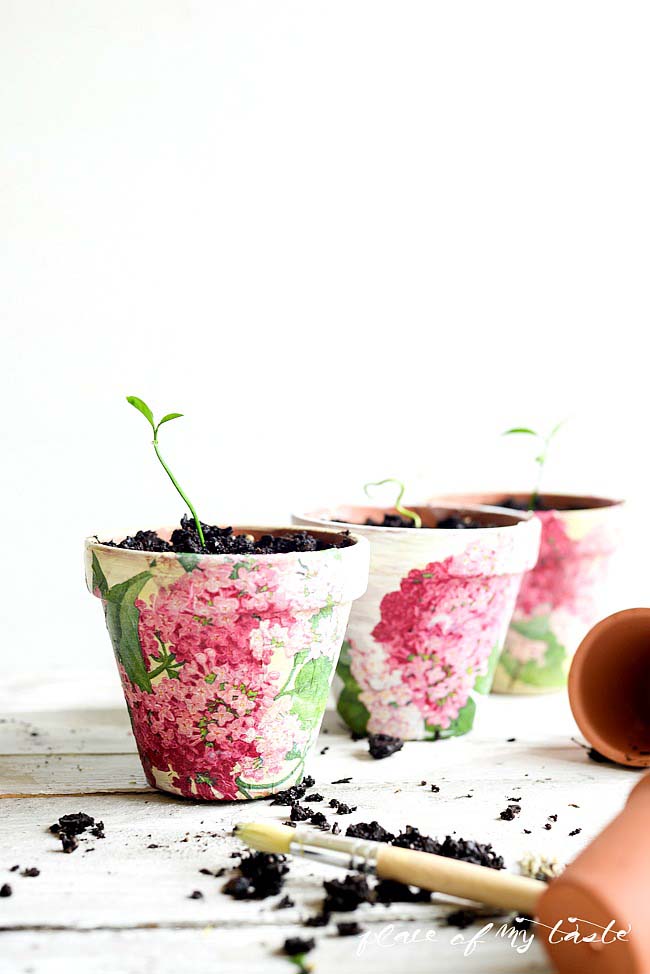 Decoupaged Terra Cotta Pots #easter #diy #dollarstore #crafts #decorhomeideas