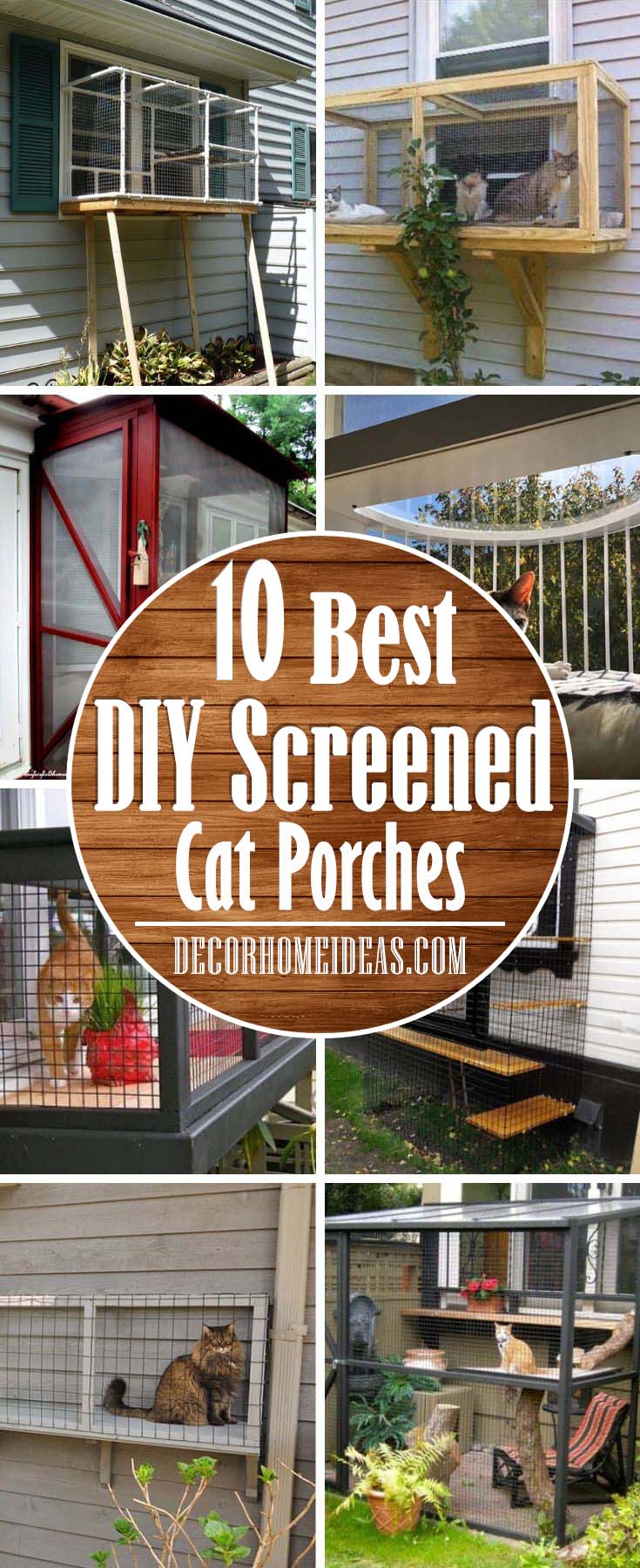 DIY Cat Screened Porch. Screened Cat Porches are a great way to keep your kitty safe, all the while enjoying the fresh air and the great outdoors. #cat #homedecor #porch #decorhomeideas