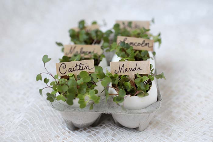 Eggshell Place Card Holders #easter #diy #rustic #decor #decorhomeideas