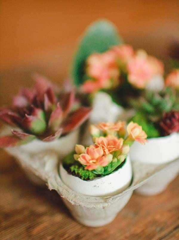 Eggshell Planters #easter #diy #cheap #decor #decorhomeideas