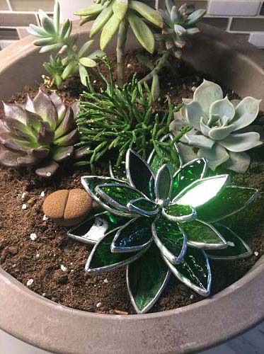 Stained Glass Succulents 3