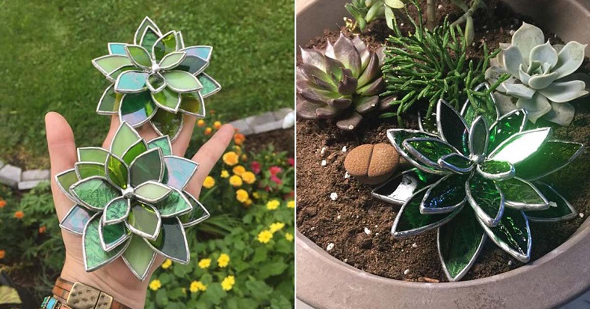 Stained Glass Succulents