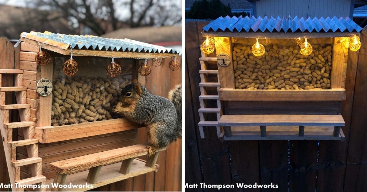 DIY Squirrel Bar
