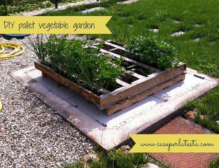 DIY Wood Pallet Vegetable Garden #diy #planter #wood #flower #pallet #decorhomeideas