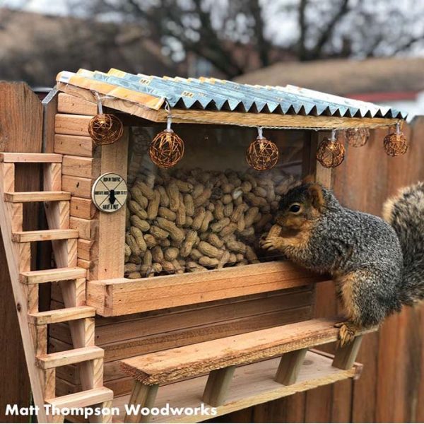 man inspired by the squirrel picnic table takes it on