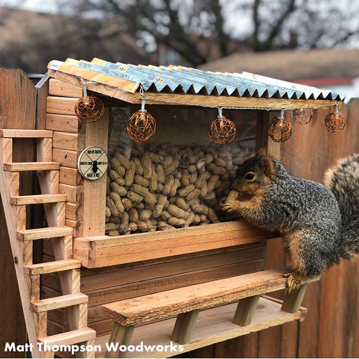 Squirrel picnic table qustinet