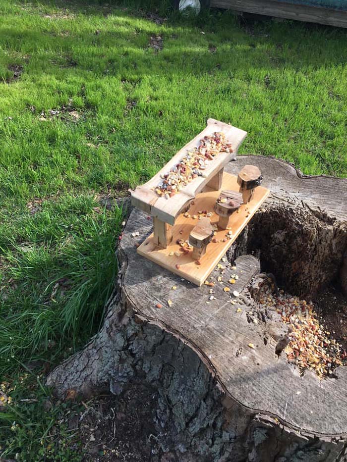 Squirrel Picnic Table 1