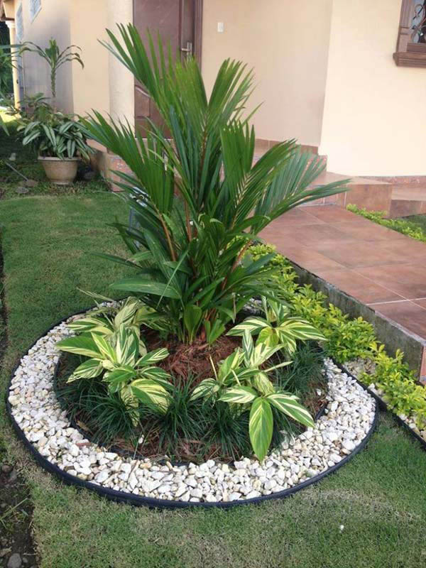 Around Plant Pebbles Edging