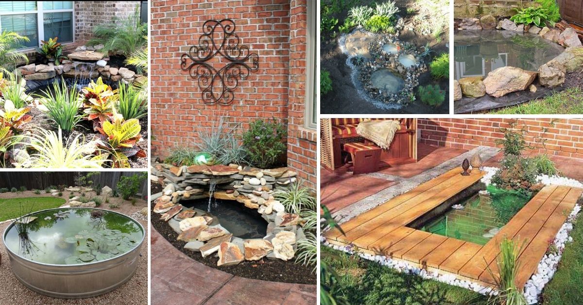 Best DIY Backyard Pond Ideas