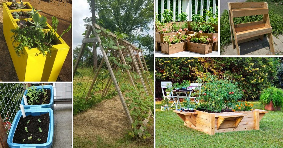 Cheap And Easy Raised Garden Beds