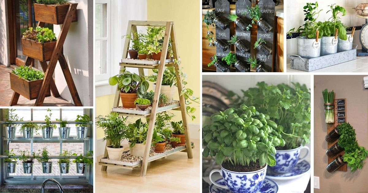 Creative Herb Garden Ideas Indoors Outdoors