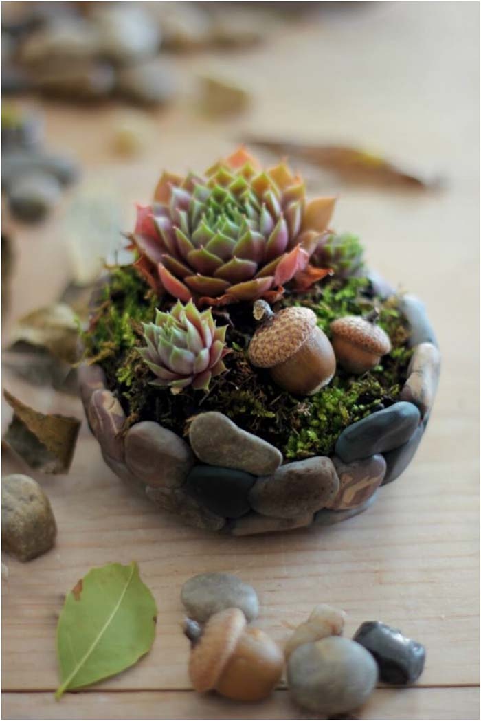 DIY Rock Mini Succulent Planter #diy #garden #rocks #stones #decorhomeideas
