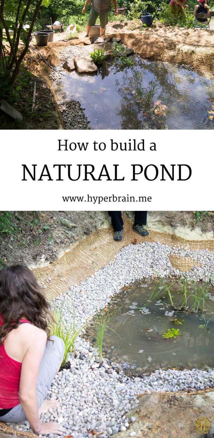 Ecological DIY Linerless Natural Pond #pond #diy #garden #waterfeature #decorhomeideas