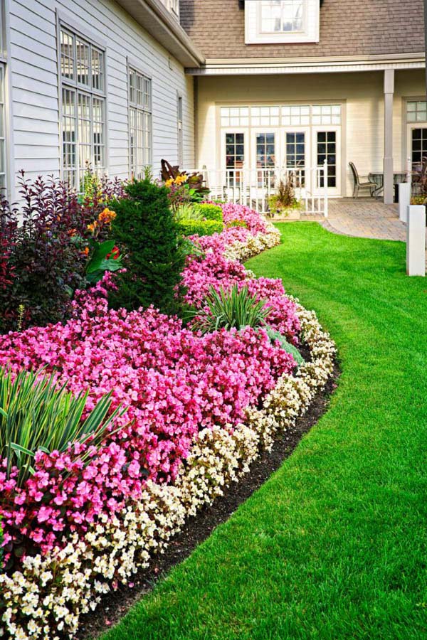 Flower Garden Around House