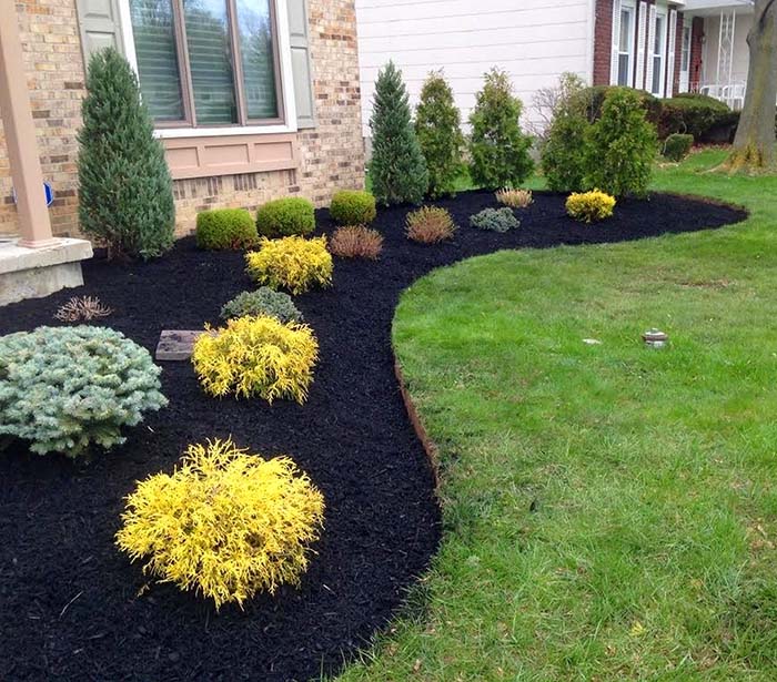 new landscape mulch and garden plants