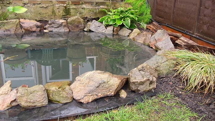 Hand Dug Garden Fish Pond #pond #diy #garden #waterfeature #decorhomeideas