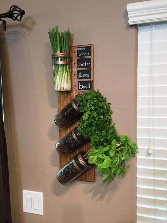 Hanging Jar Herb Garden ‘With a Twist!’ #diy #herbgarden #herbs #garden #ideas #decorhomeideas