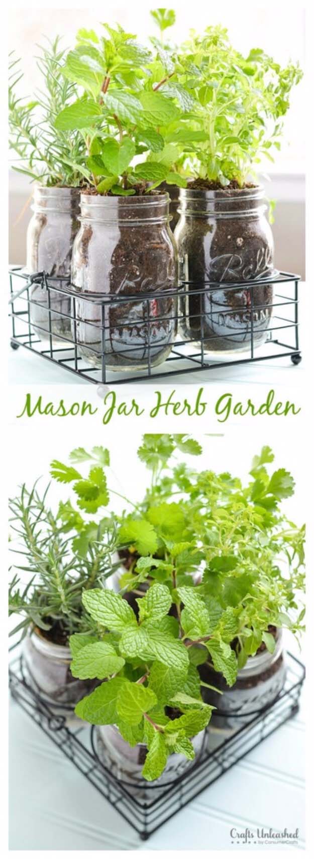 Herbs in a Jar #diy #herbgarden #herbs #garden #ideas #decorhomeideas