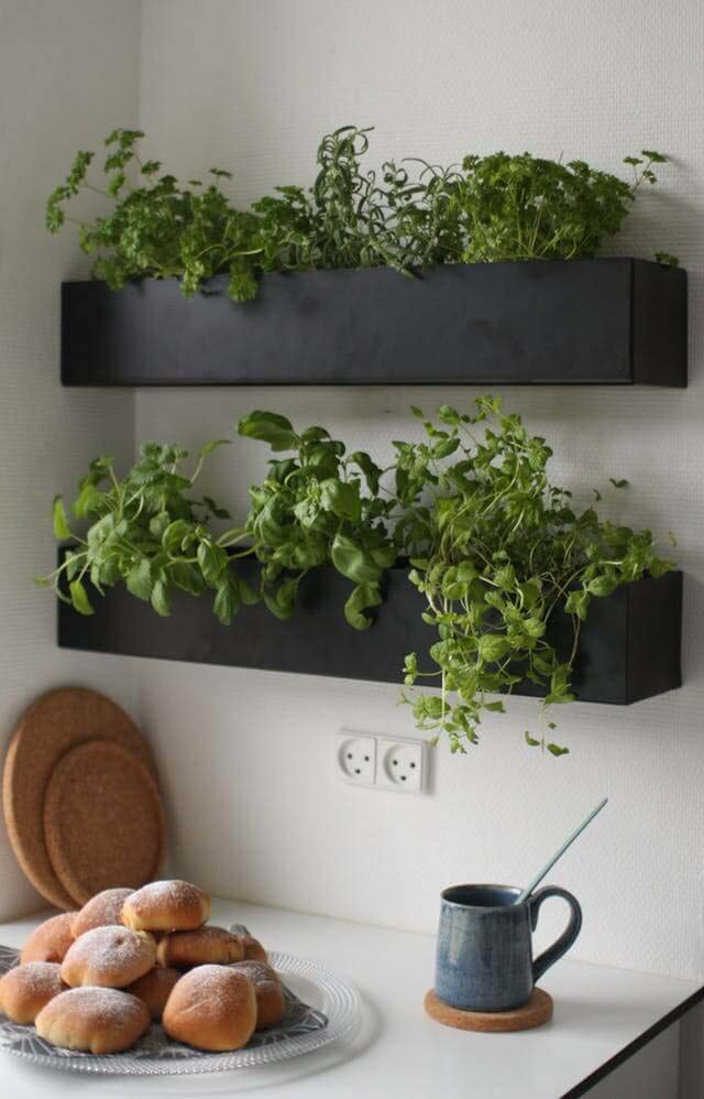 Kitchen Shelf Herb Garden #diy #herbgarden #herbs #garden #ideas #decorhomeideas