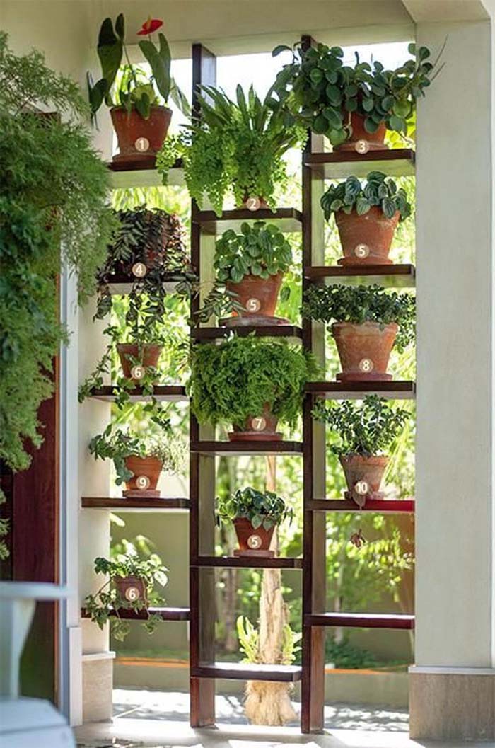 Ladder-Style Sunny Window Herb Garden #diy #herbgarden #herbs #garden #ideas #decorhomeideas