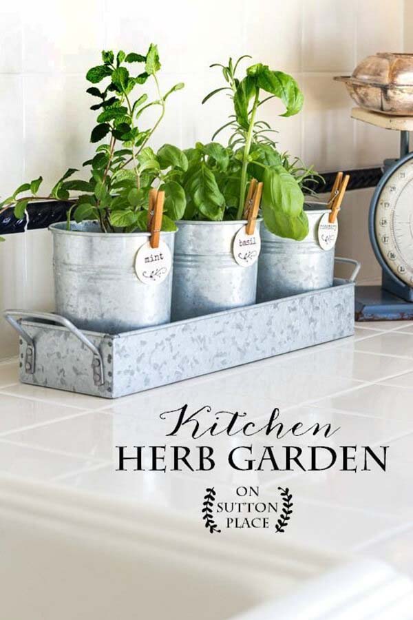 Pretty Little Pails Herb Garden #diy #herbgarden #herbs #garden #ideas #decorhomeideas