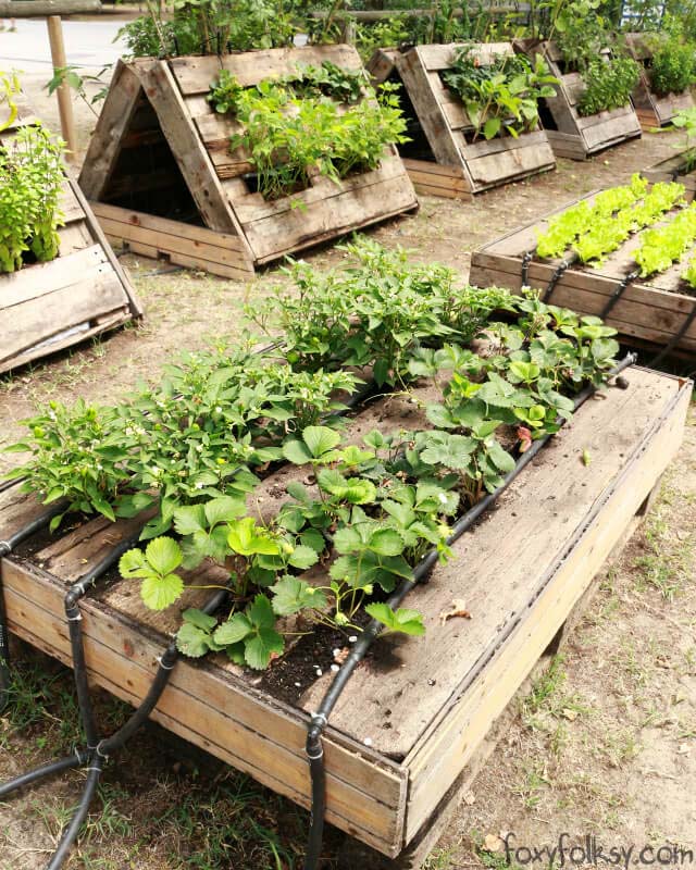 Raised Pallet Garden Stand #raisedbed #garden #diy #cheap #decorhomeideas