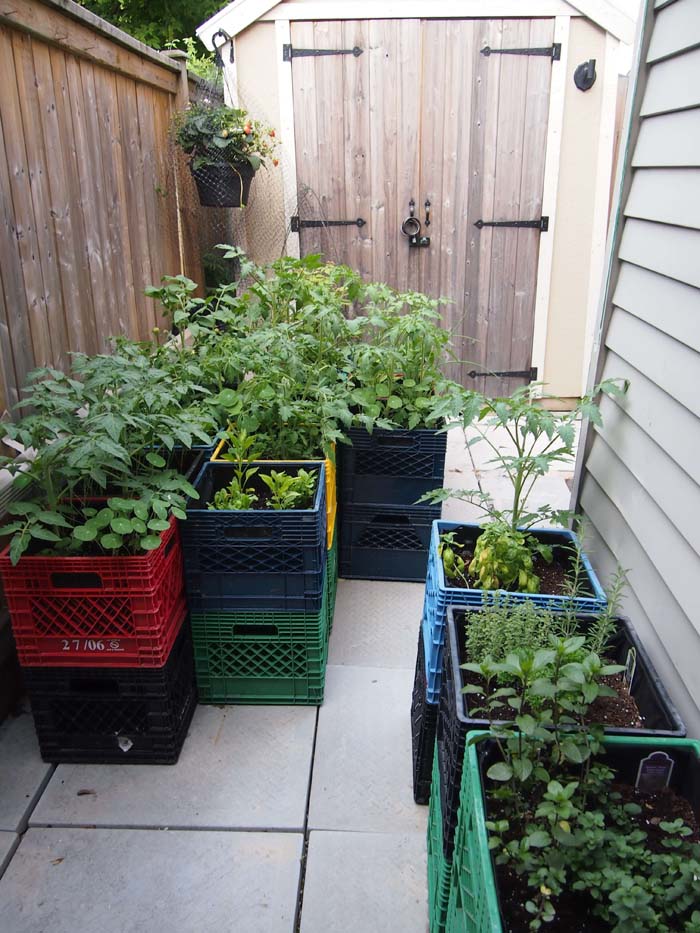 Space Saving Raised Garden on a Budget #raisedbed #garden #diy #cheap #decorhomeideas