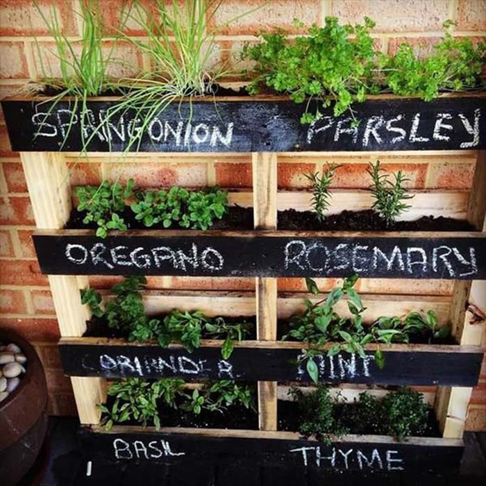 Stacked Wooden Shelves Herb Garden #diy #herbgarden #herbs #garden #ideas #decorhomeideas