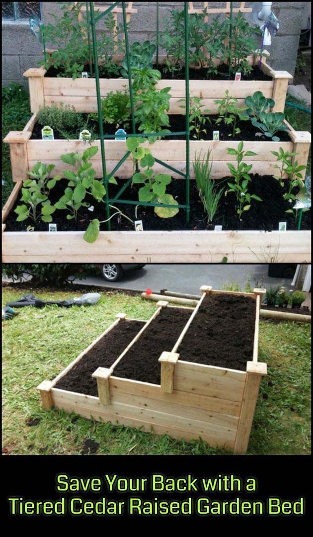 Tiered Cedar Raised Garden Bed #raisedbed #garden #diy #cheap #decorhomeideas