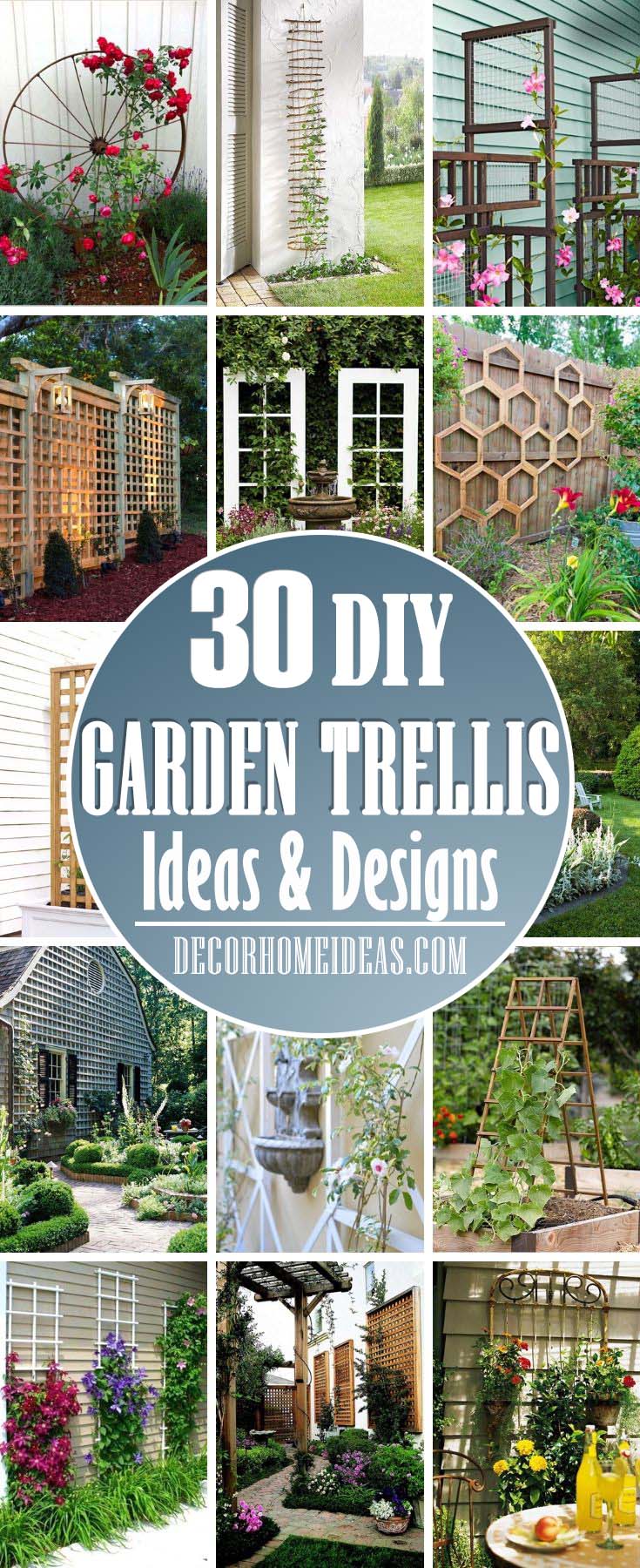 30 Best Trellis Ideas for 2021