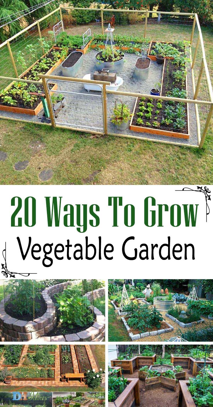 Ways To Grow Vegetable Garden. Find more than 20 great solutions on how to grow a DIY vegetable garden. Start yours today! #vegetablegarden #garden #diy #growvegetables #decorhomeideas