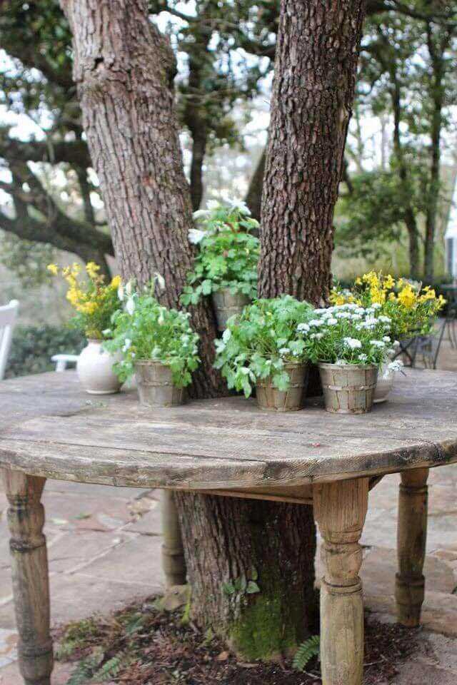 A Tree Grows Through It #diy #potting #bench #garden #decorhomeideas