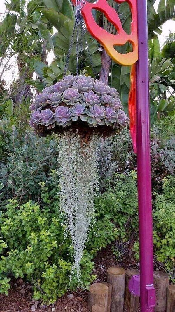 Creative “Jellyfish” Succulent Hanging Basket #diy #planter #flower #hanging #garden #decorhomeideas