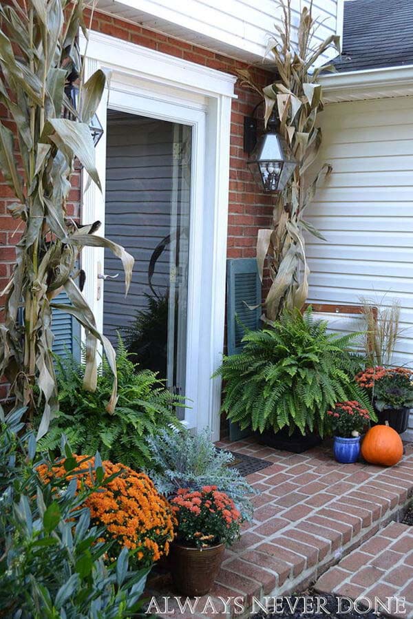 Creatively Arranged Plants and Shutters #veranda #decor #rustic #decorhomeideas