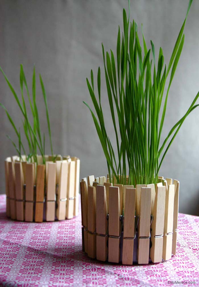 Decorative Grass with Clothespin Fence #diy #flowerpot #garden #flower #decorhomeideas