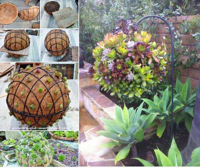 DIY Succulent Orb Hanging Planter #diy #planter #flower #hanging #garden #decorhomeideas