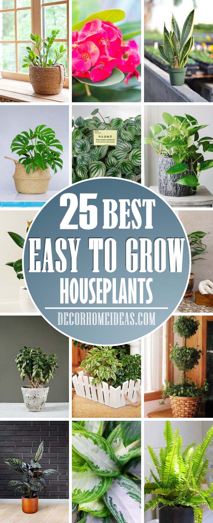 Easy To Grow Houseplants. Take a look at some fantastic, easy to grow houseplants you can raise yourself at home. These plants could be grown even by a beginner.  #houseplant #grow #easy #decorhomeideas