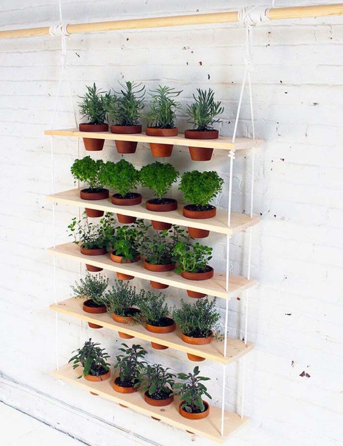 Easy to Make Hanging Herb Garden #diy #planter #flower #hanging #garden #decorhomeideas