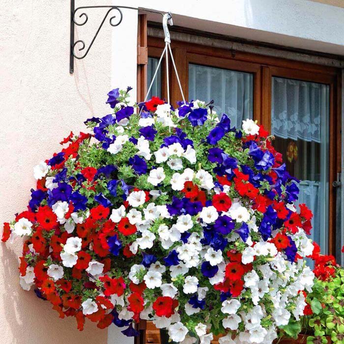 Fourth of July Themed Hanging Basket #diy #planter #flower #hanging #garden #decorhomeideas