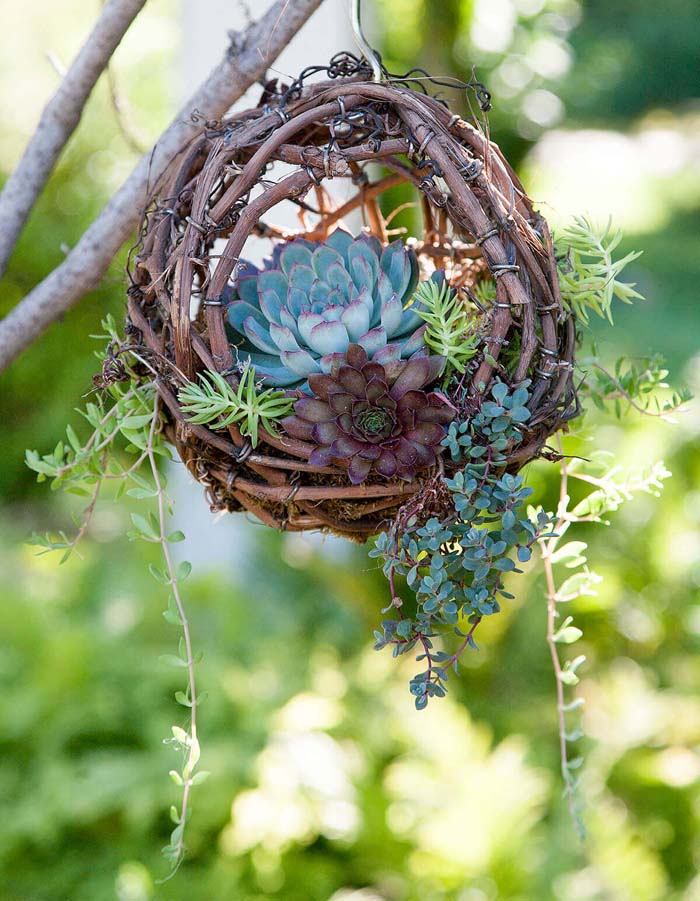 Hanging Grapevine Bird’s Nest Succulent Planter #diy #planter #flower #hanging #garden #decorhomeideas
