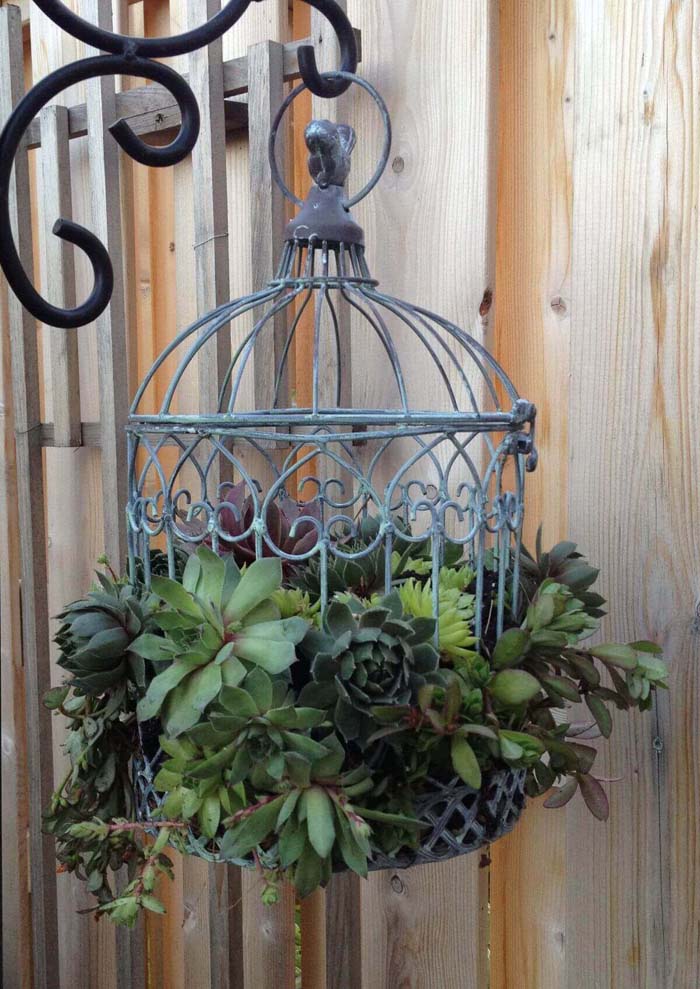 Metal Bird Cage Succulent Planter #diy #planter #flower #hanging #garden #decorhomeideas