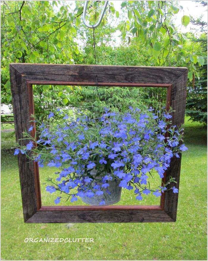 Perfectly Framed DIY Lobelia Planter #diy #planter #flower #hanging #garden #decorhomeideas