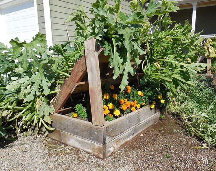 Planter Box Growing Racks for Gardening #diy #pallet #garden #decorhomeideas