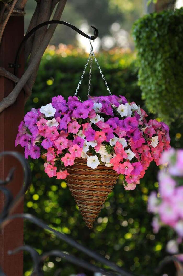 Pretty Cone Shaped Petunia Planter #diy #planter #flower #hanging #garden #decorhomeideas