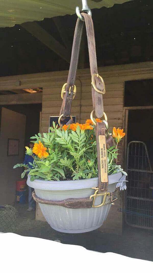 Recycled Horse Bridle Hanging Pot Holder #diy #planter #flower #hanging #garden #decorhomeideas