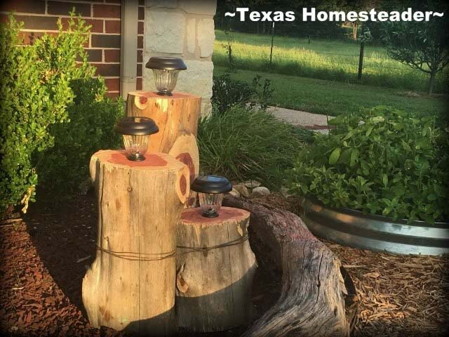 Rustic and Beachy Cedar Light Holders #diy #solar #lights #solarlight #garden #decorhomeideas